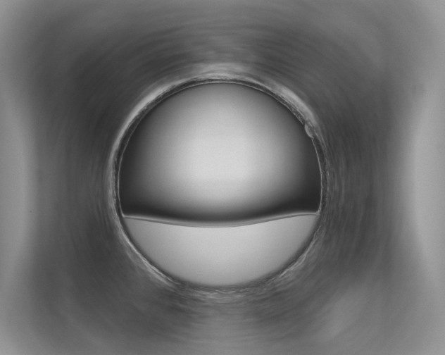 X0000113321384200909140938