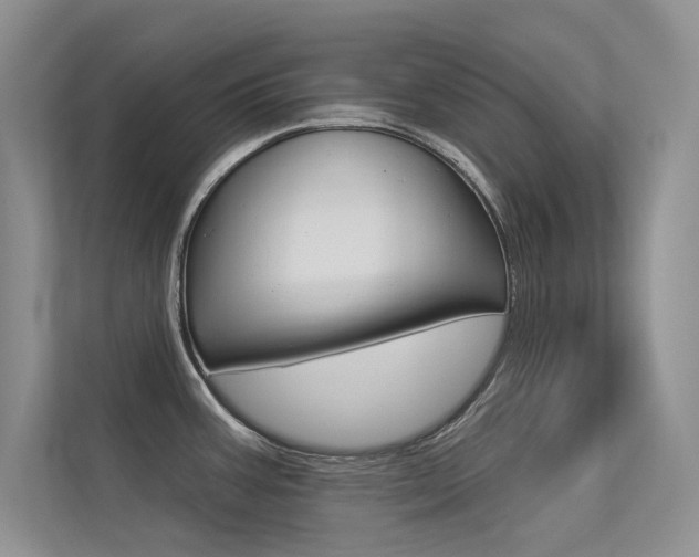 X0000113321387200909140938