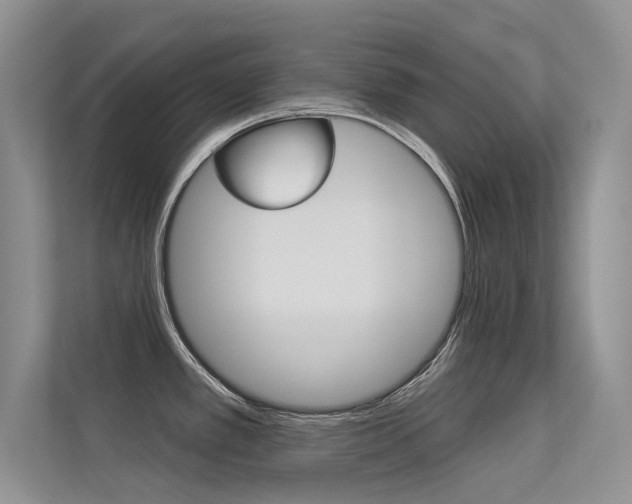 X0000113321389200909140938