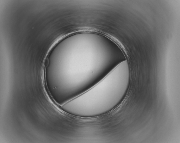 X0000113321391200909140938