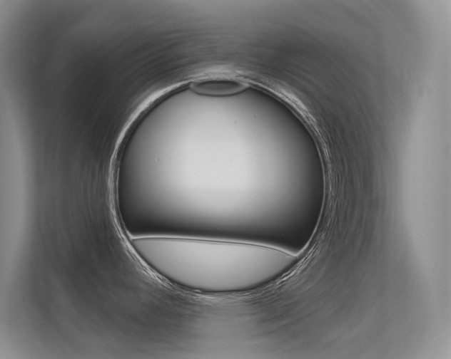 X0000113321392200909140938