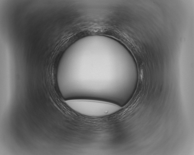 X0000113321396200909140937