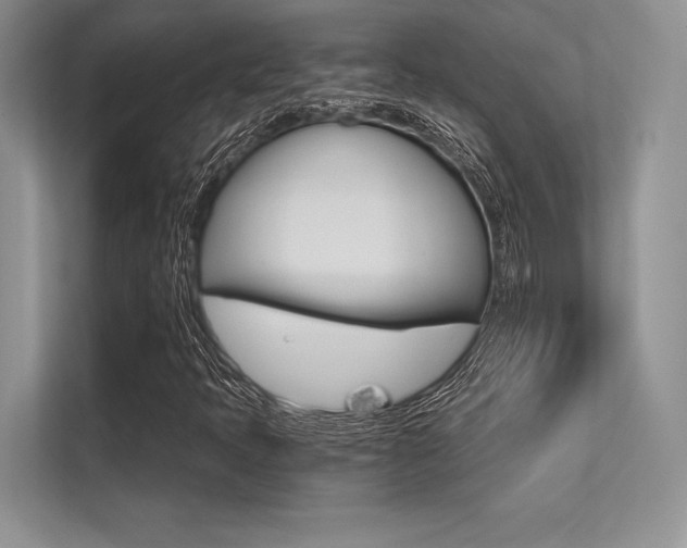 X0000113321397200909140937