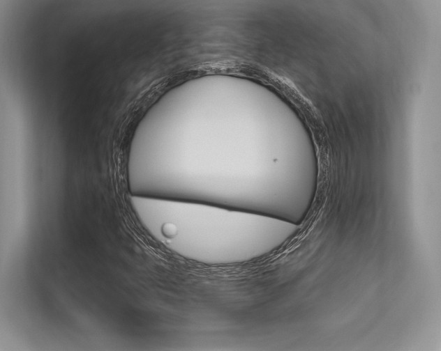 X0000113321399200909140937