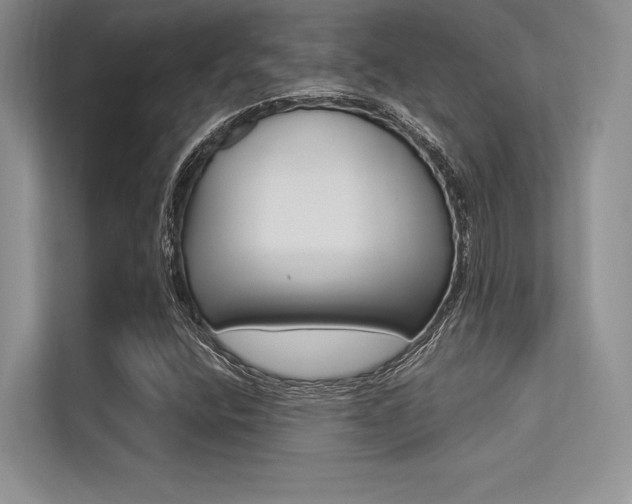 X0000113321400200909140937
