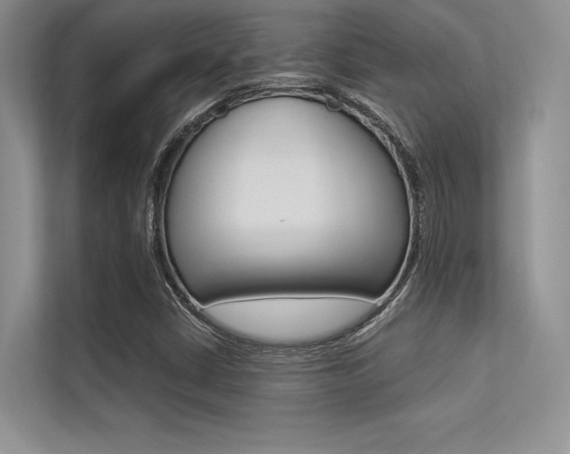 X0000113321402200909140937