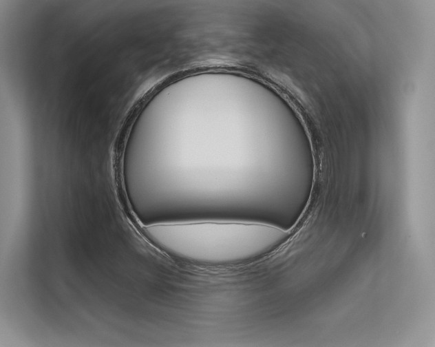 X0000113321404200909140937