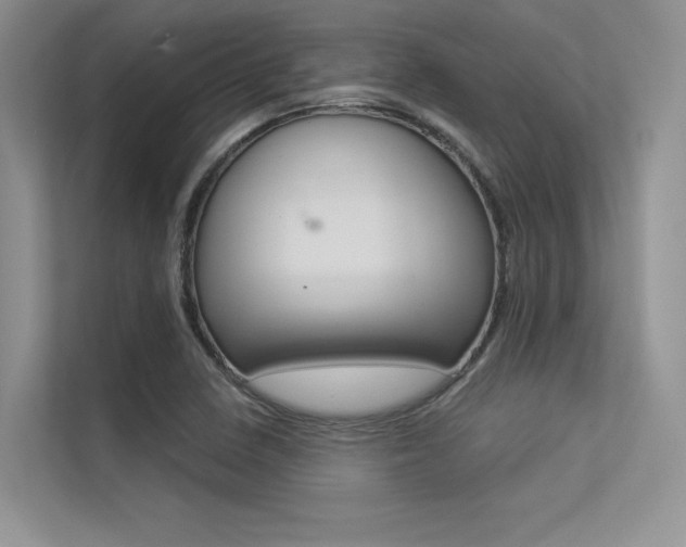 X0000113321410200909140937