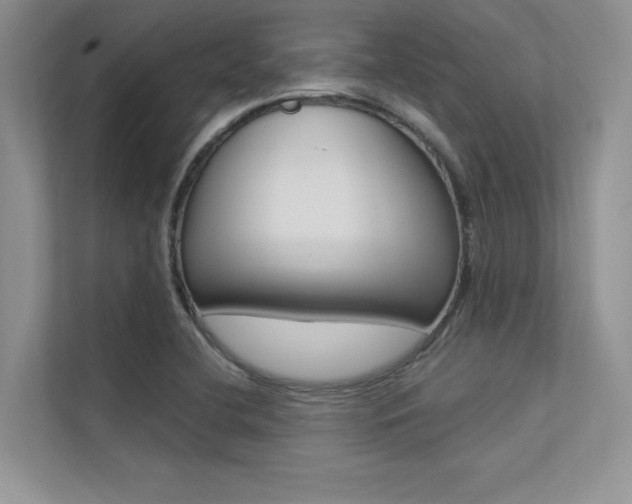 X0000113321412200909140937