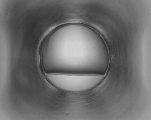 X0000113321414200909140937