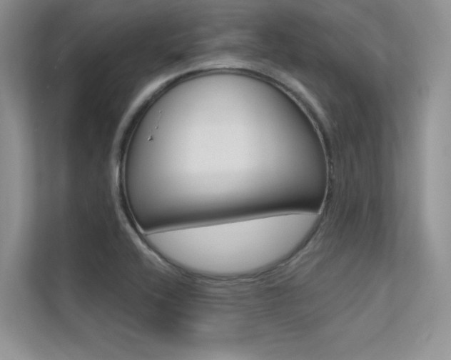 X0000113321416200909140937