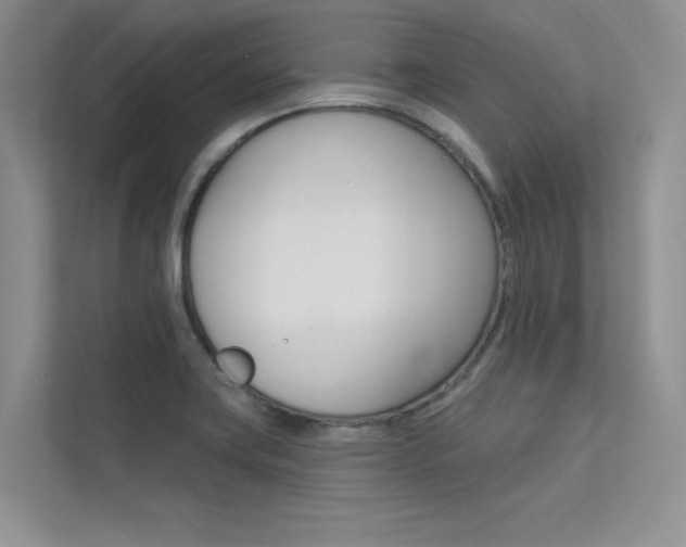 X0000113321419200909140937