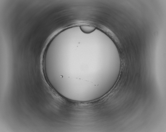 X0000113321427200909140937