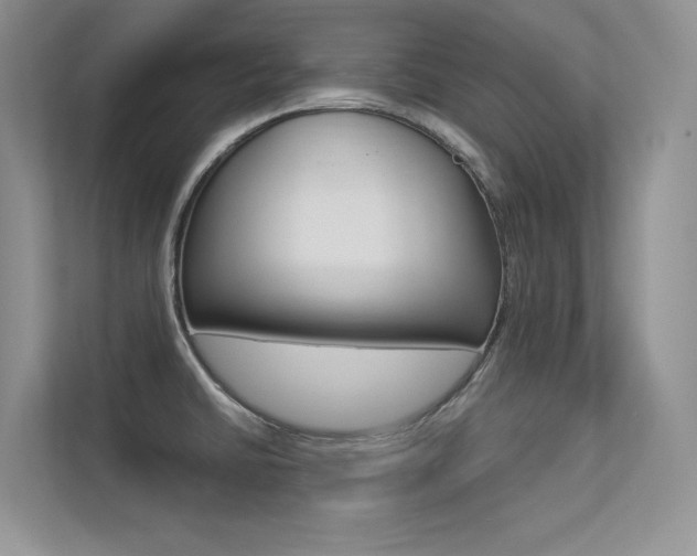 X0000113321430200909140937