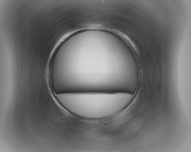 X0000113321432200909140937