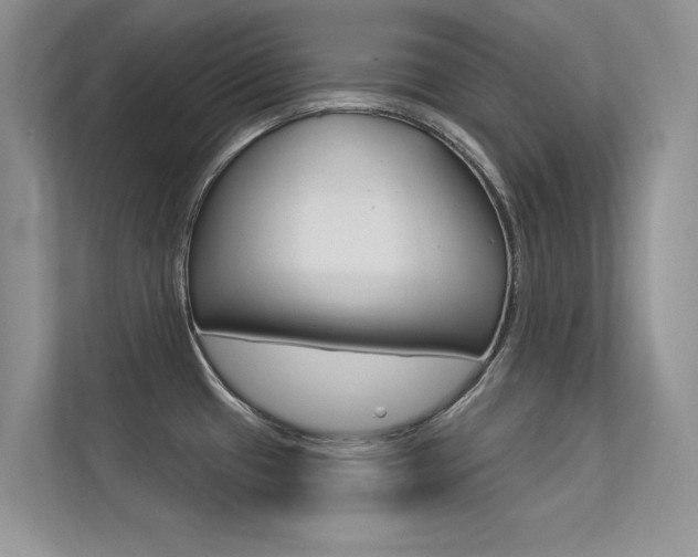 X0000113321433200909140937