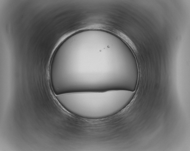 X0000113321436200909140937