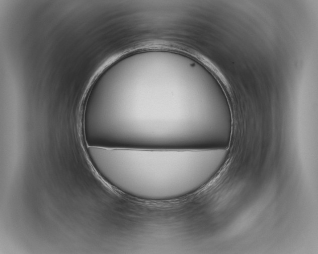 X0000113321437200909140937