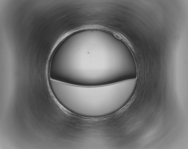 X0000113321438200909140937