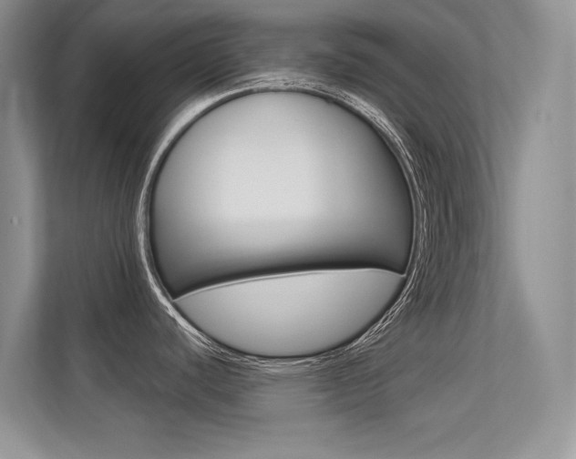 X0000113321440200909140937