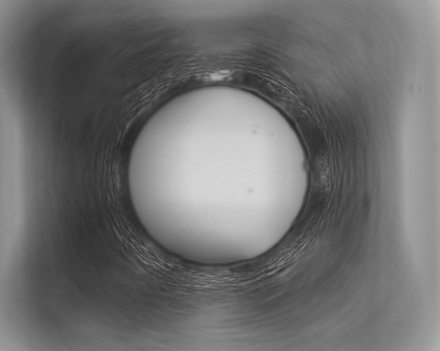 X0000113321442200909140937