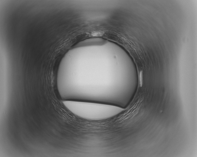 X0000113321443200909140937