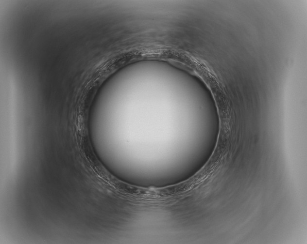 X0000113321445200909140937