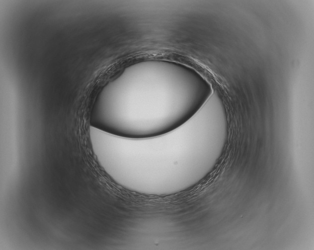 X0000113321447200909140937