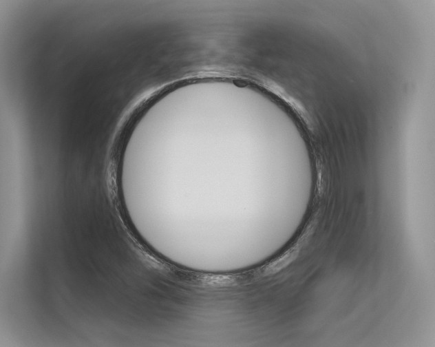 X0000113321454200909140937