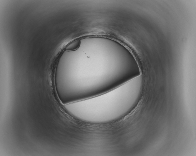 X0000113321455200909140937