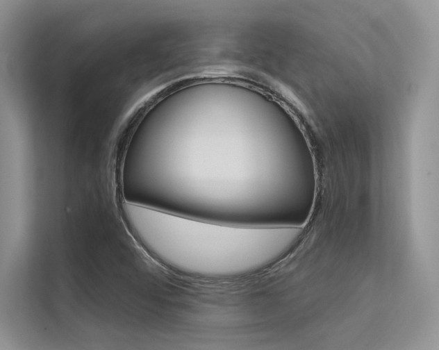 X0000113321456200909140937
