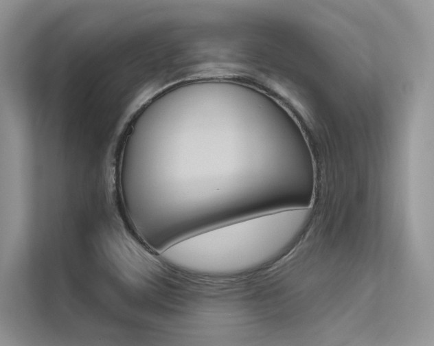 X0000113321459200909140937