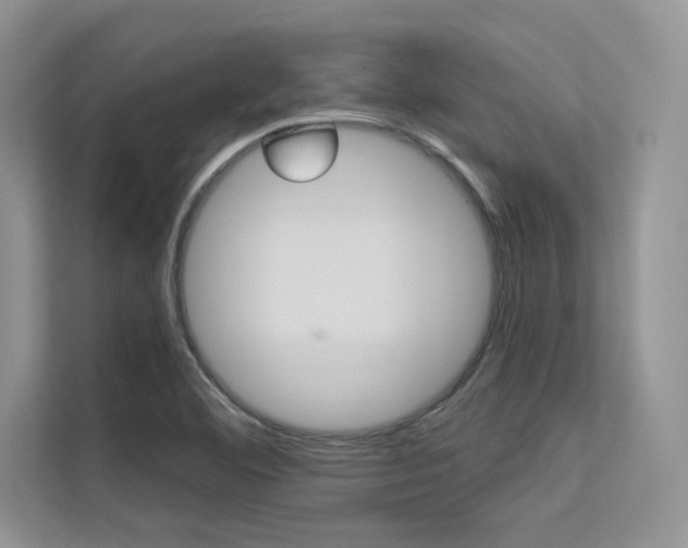 X0000113321460200909140937