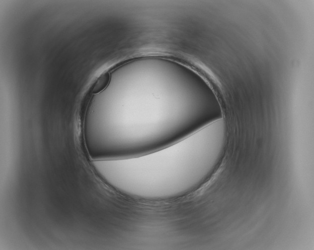 X0000113321461200909140937