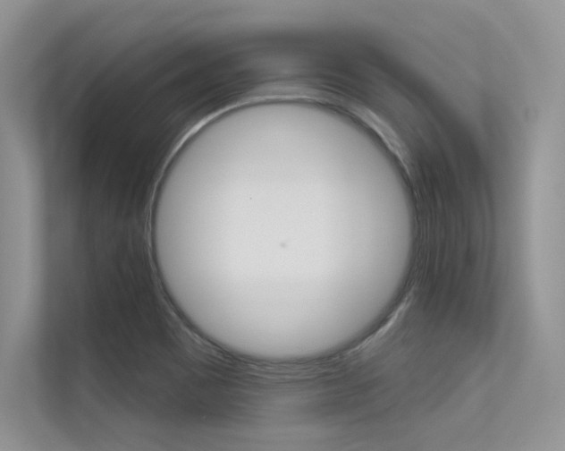 X0000113321465200909140937