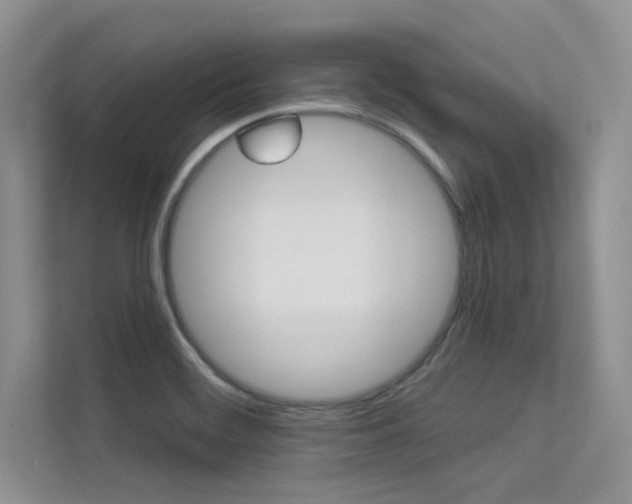 X0000113321468200909140937