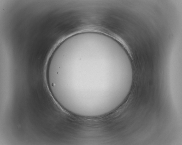 X0000113321472200909140936