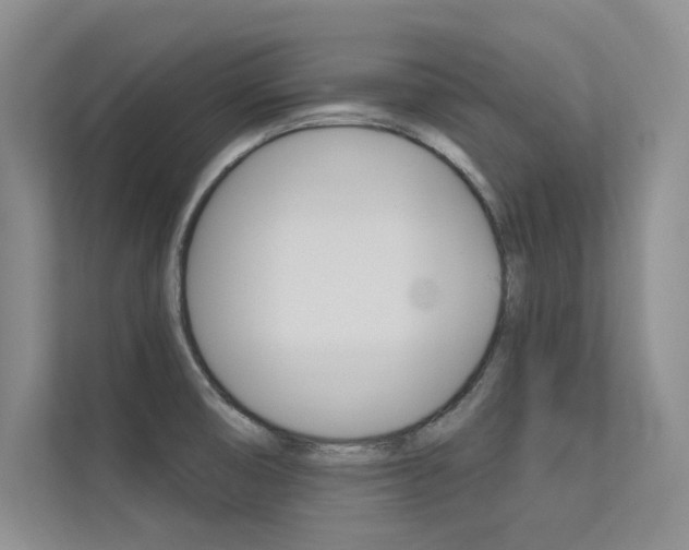 X0000113321474200909140936