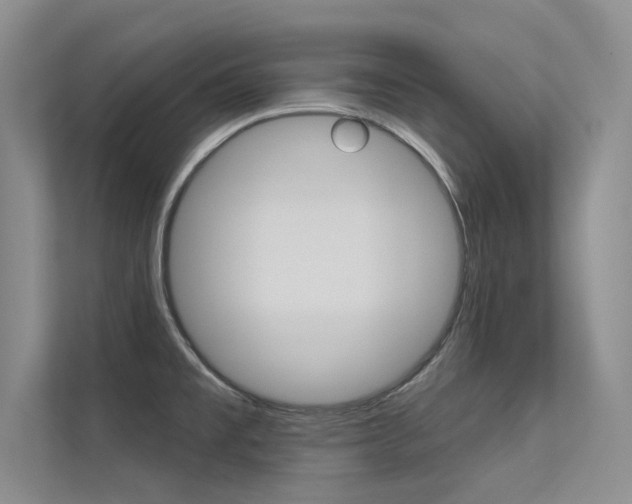 X0000113321477200909140936