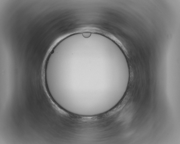 X0000113321478200909140936