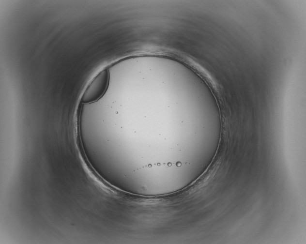 X0000113321479200909140936