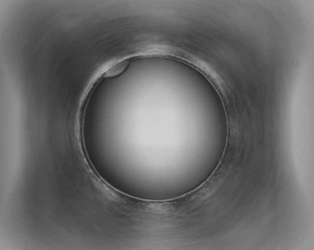 X0000113321480200909140936