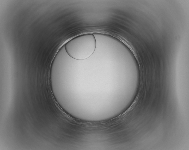X0000113321481200909140936