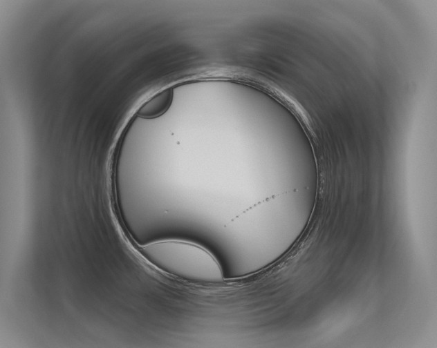 X0000113321483200909140936