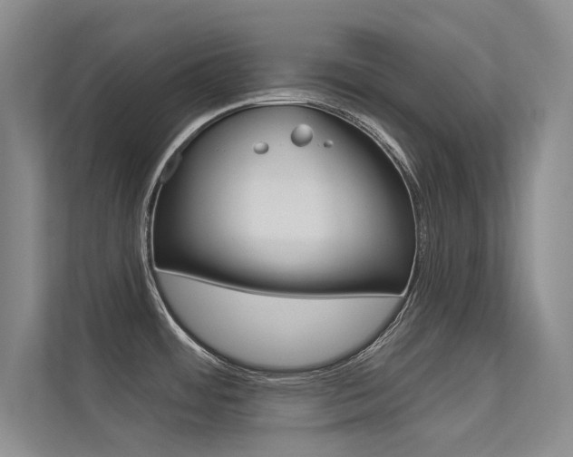 X0000113321484200909140936
