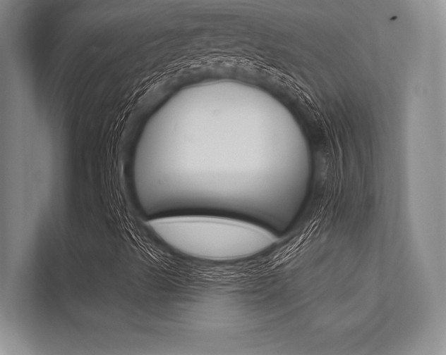 X0000113321489200909140936