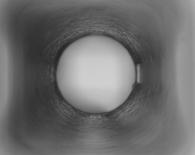 X0000113321491200909140936