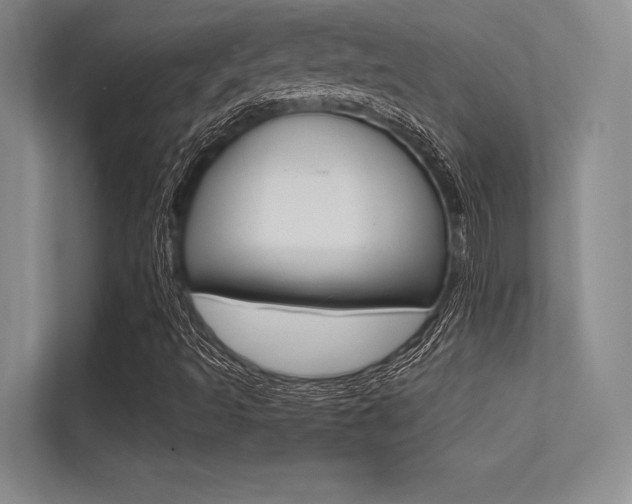 X0000113321493200909140936