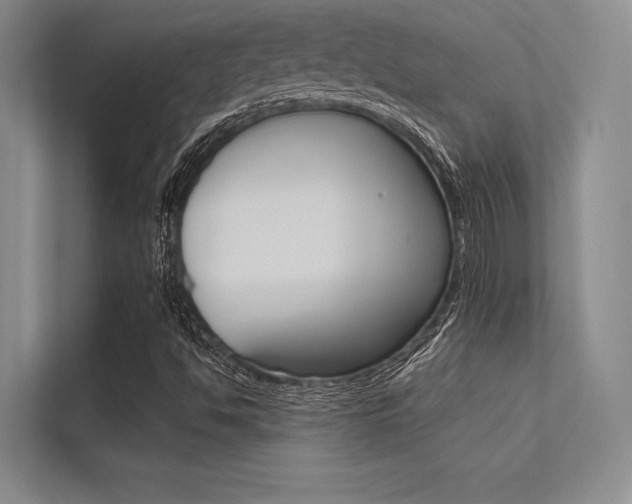 X0000113321494200909140936