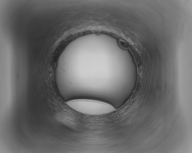 X0000113321495200909140936